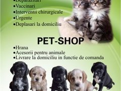 Paumi Vet - cabinet veterinar